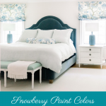 Snowberry's Paint Colors Pin