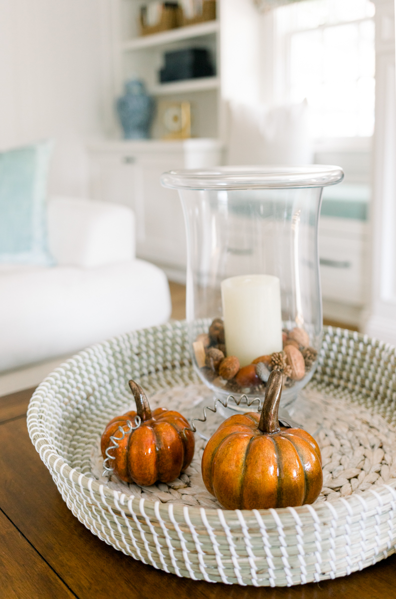 Fall Coffee Table Decor