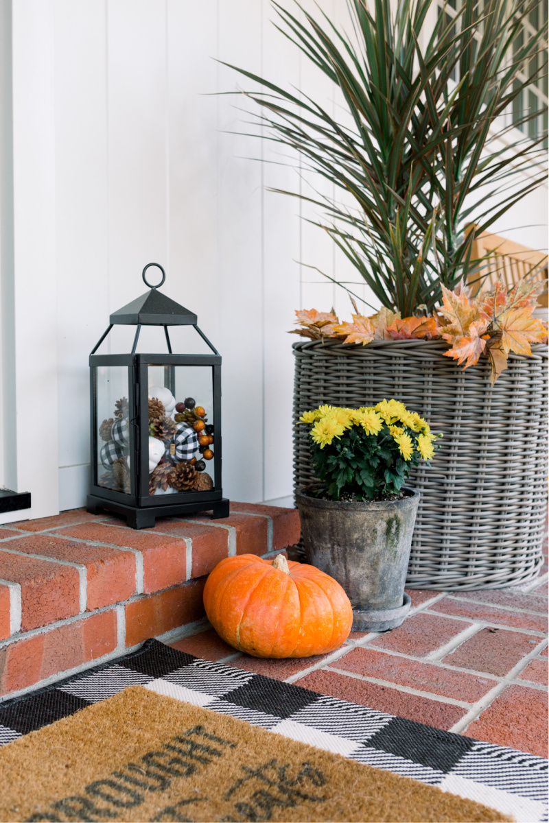 Fall Decor Mums