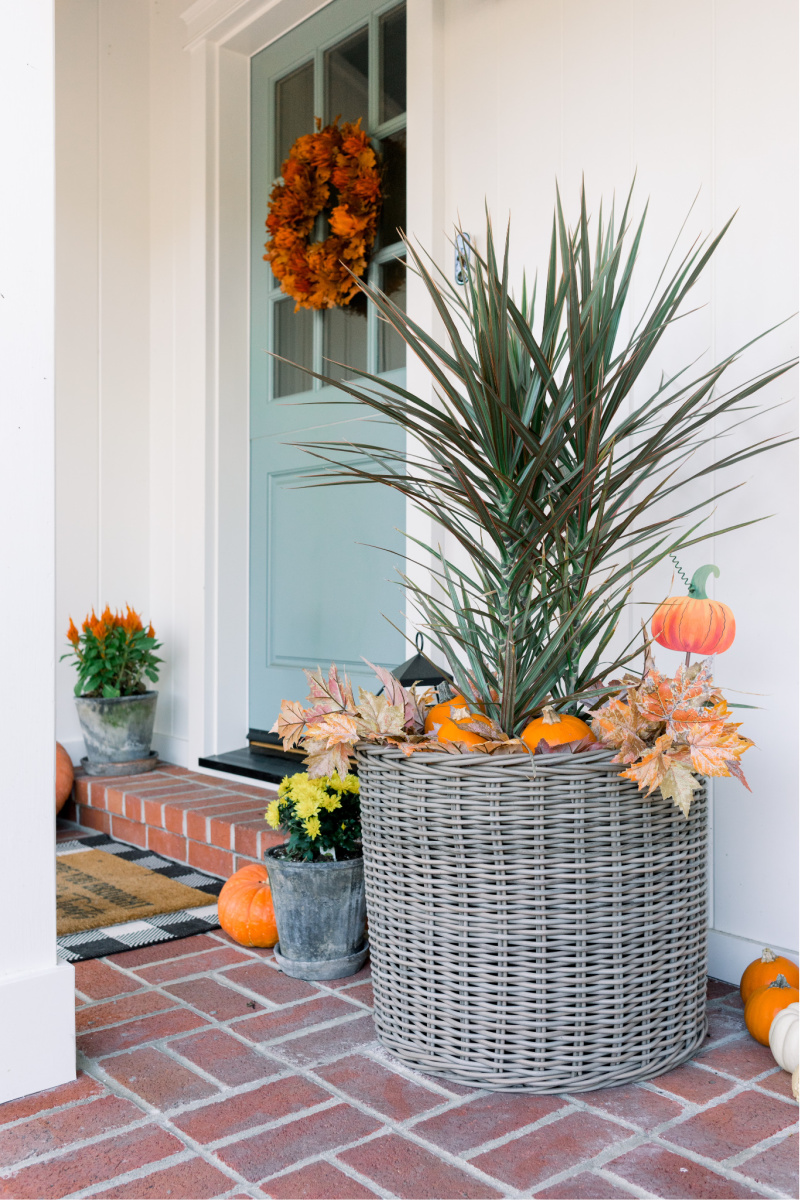 Fall Front Door Decor