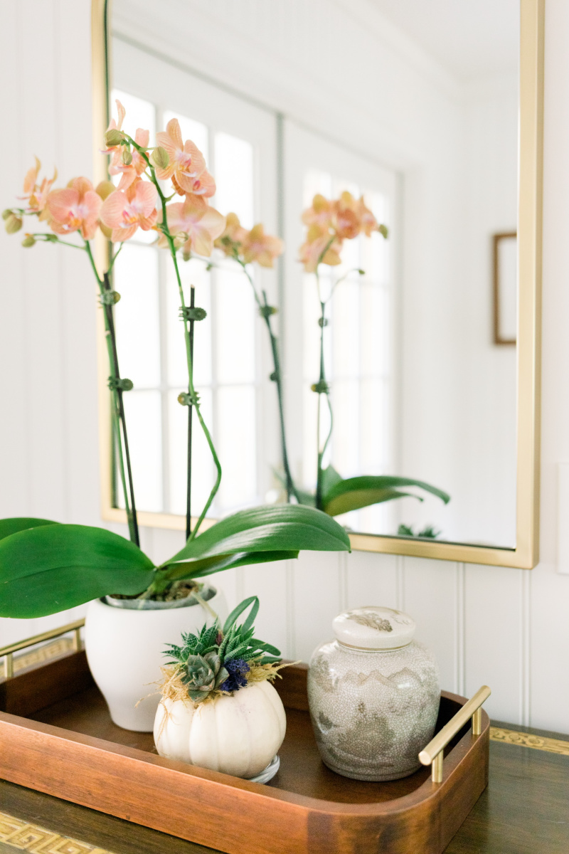 Asian Bar and Orchid