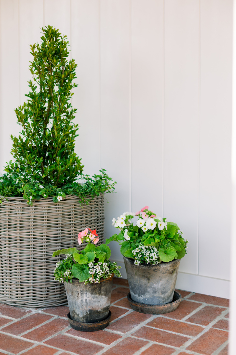 Woven basket topiary and potted plants