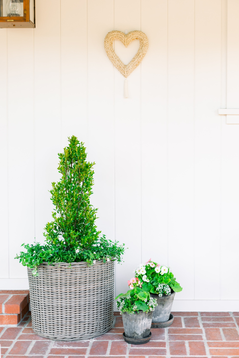 Valentine Heart Wreath & Potted Plants