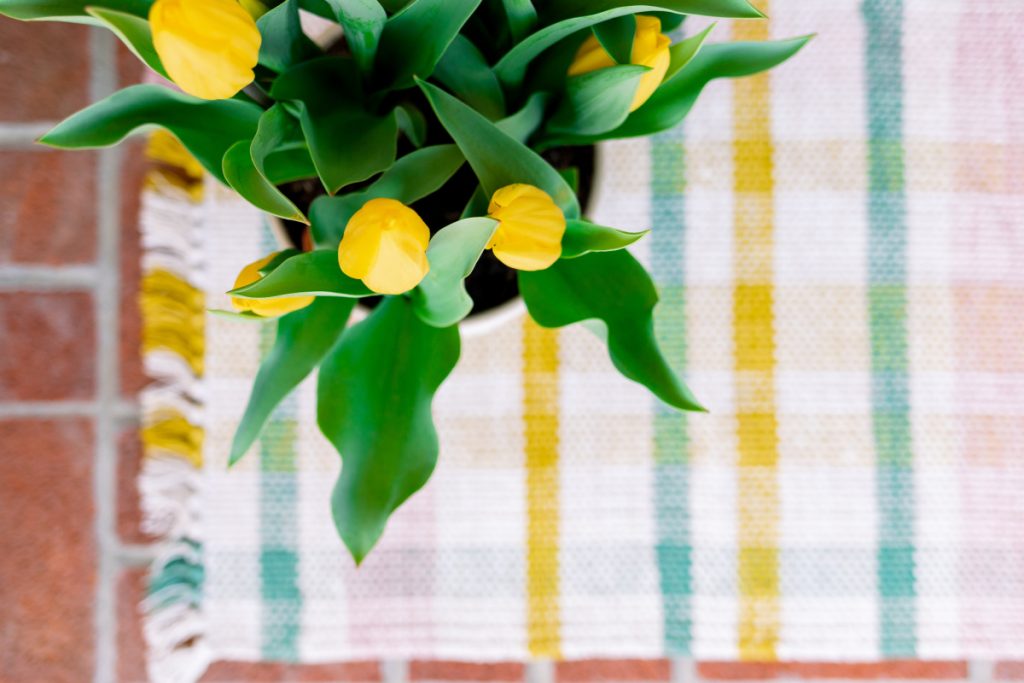 Yellow Tulips on Pastel Plaid Mat