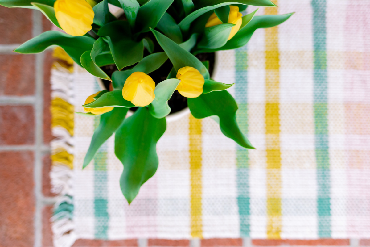 Yellow Tulips on Pastel Plaid Mat
