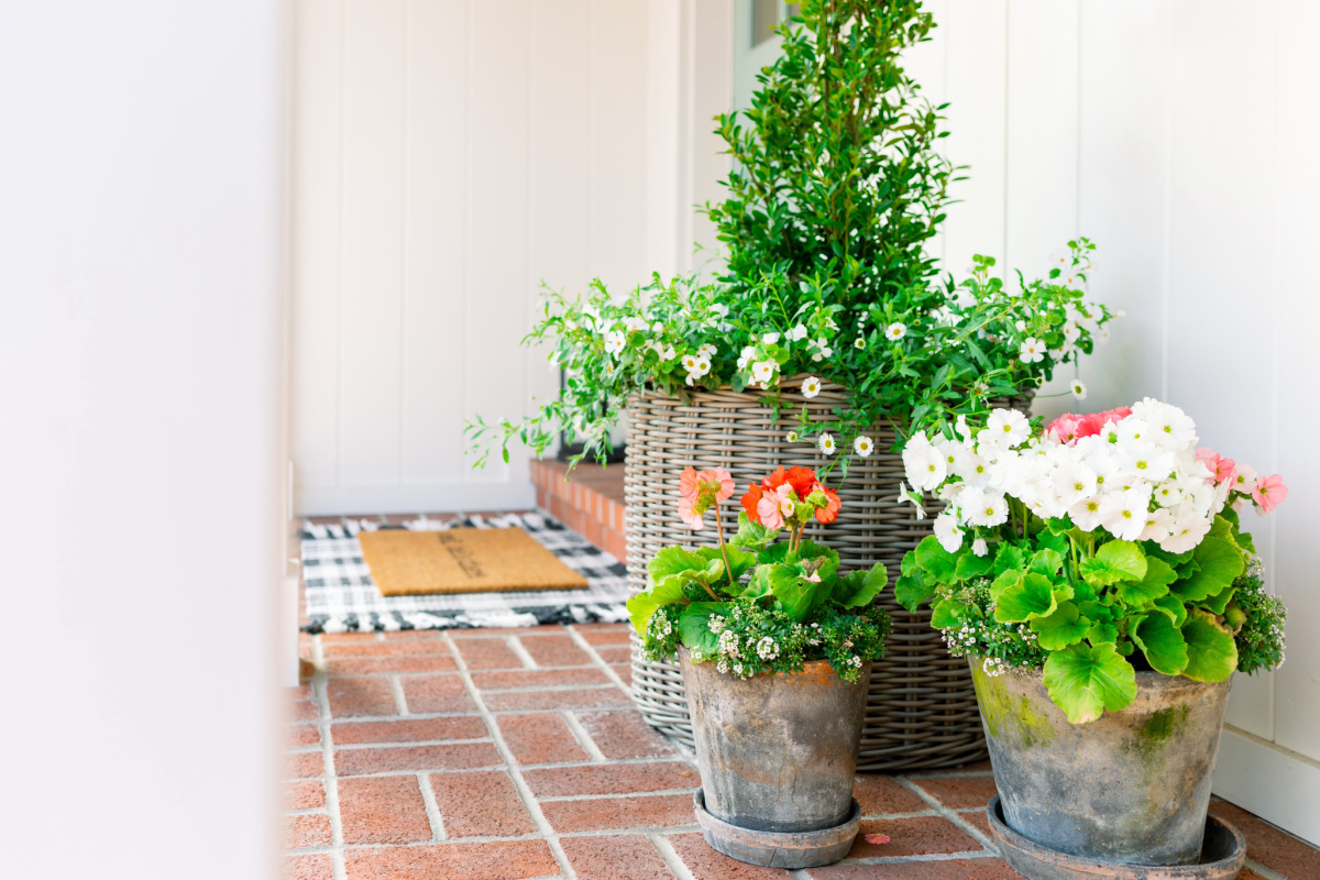 Front Porch Topiary and potted plants