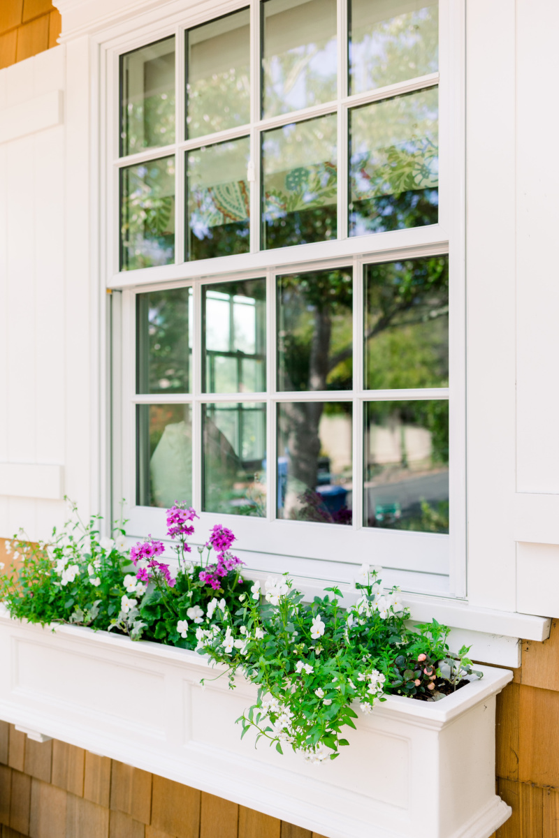 Window Box Planter