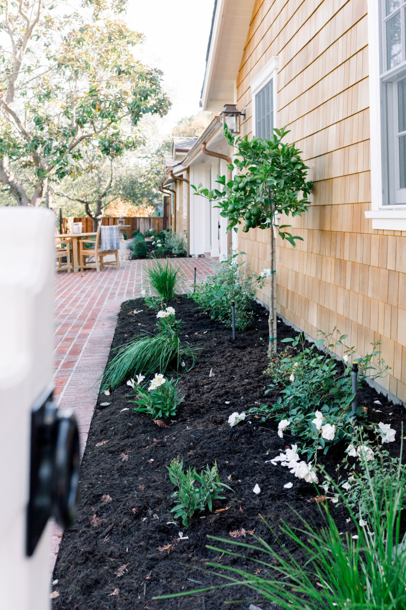 Front Yard Garden Bed