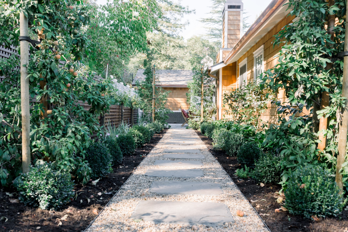 Garden Path and boxwood border