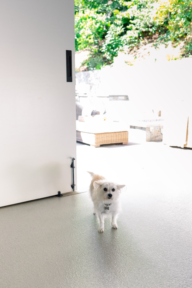 Dog in front of carriage doors