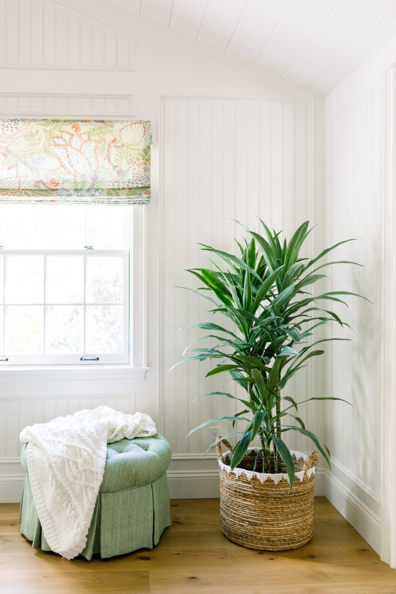 Plant in woven basket next to ottoman