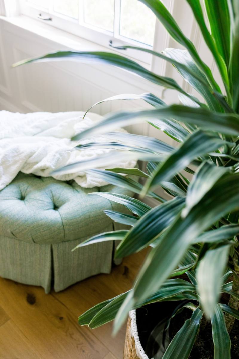 Round ottoman with throw and house plant