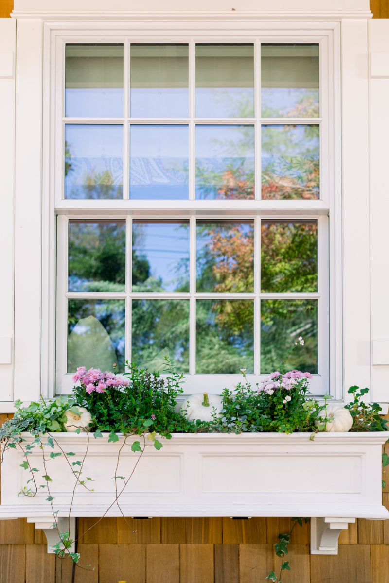 Window Box decorated with pumpkins