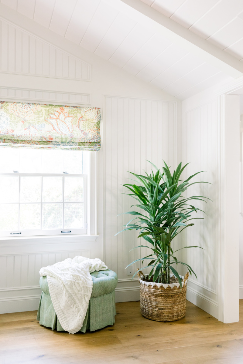 Ottoman and tall houseplant