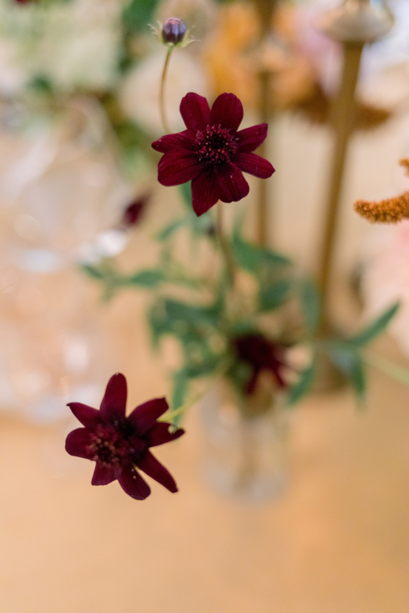 Vase of flowers on table