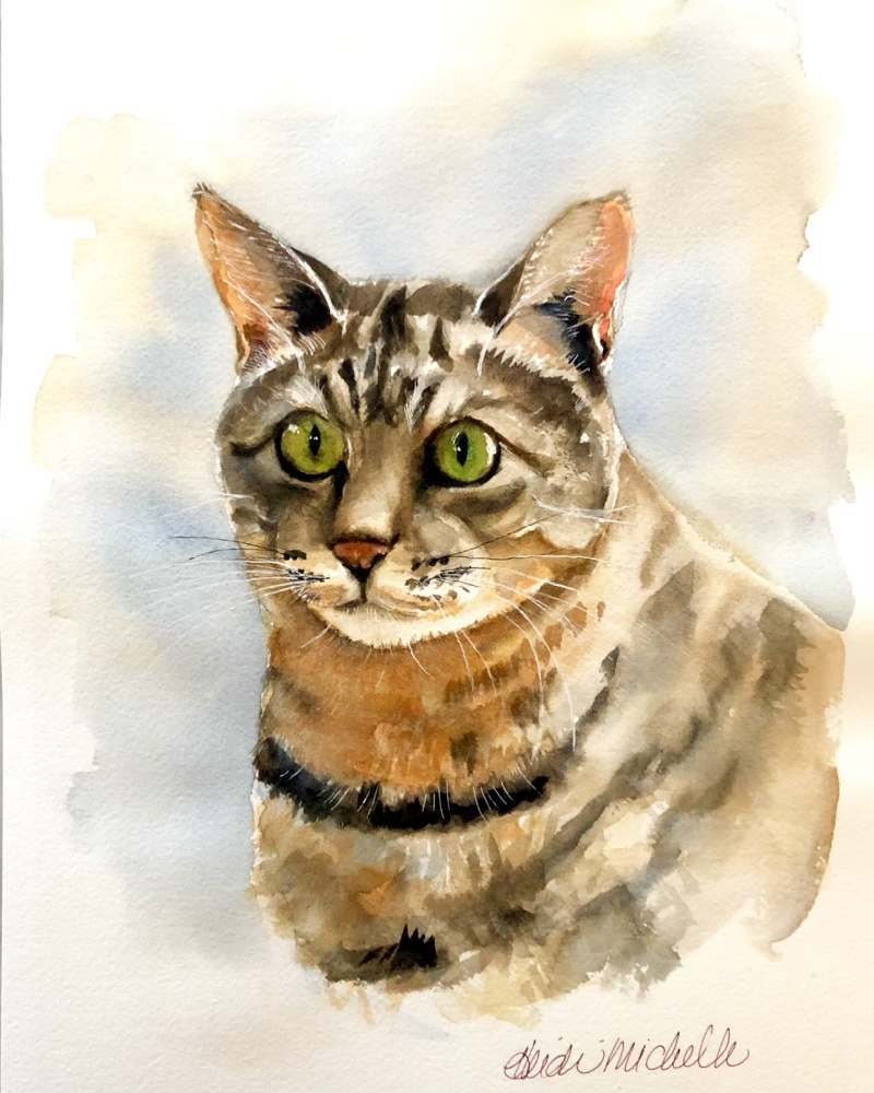 Cat portrait