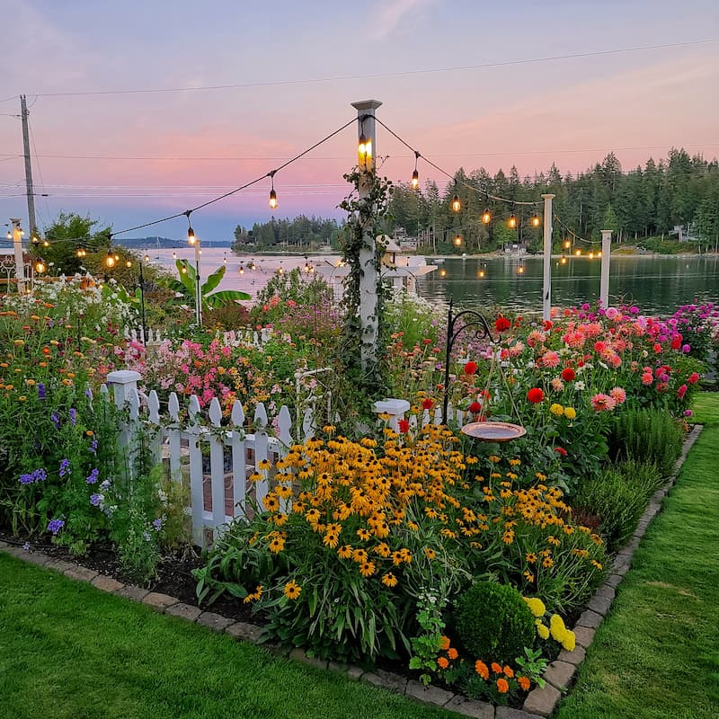 Sunset in coastal garden