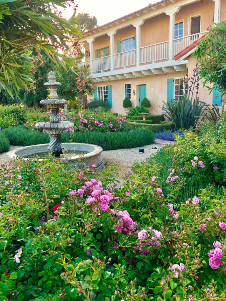 Cindy Hattersley front garden