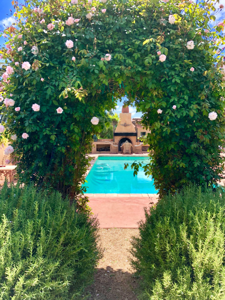 Cindy Hattersley pool area