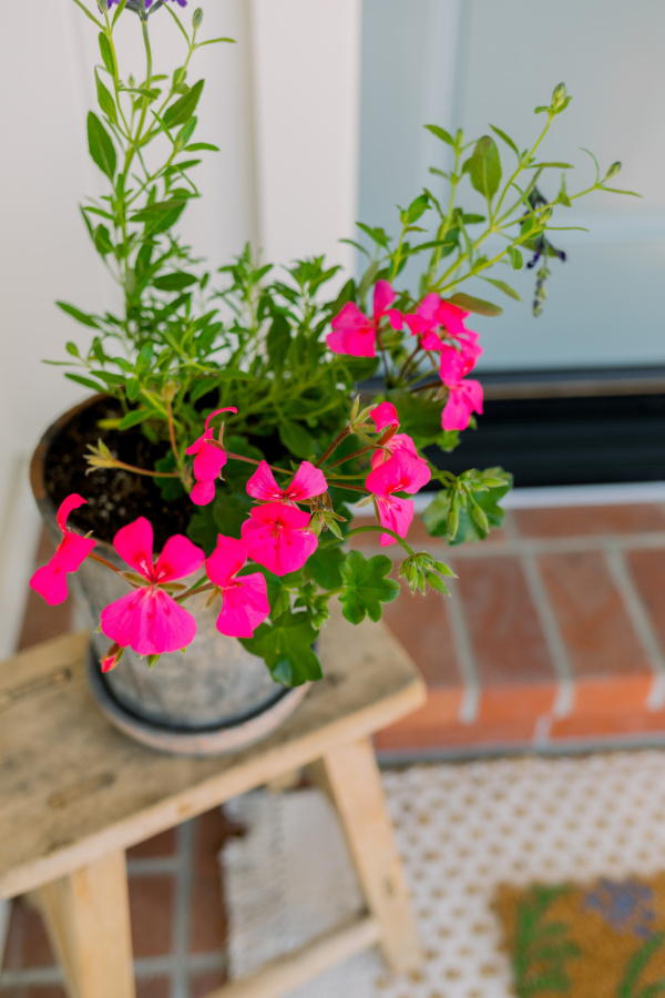 Bright flowers on front porch stool
