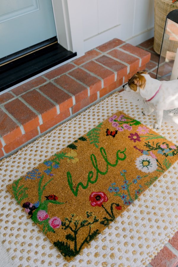 Dog on summer door mat