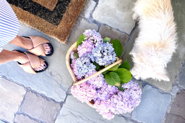 Basket of hydrangeas