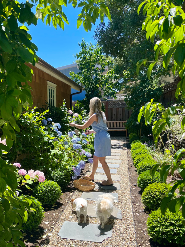 woman cutting flowers in garden with dogs