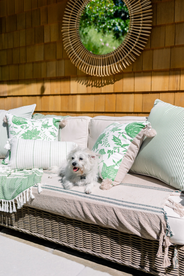 Serena and Lily Pillows and dog on outdoor sofa