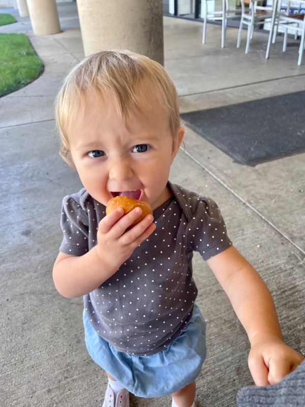 Toddler eating donut hole.