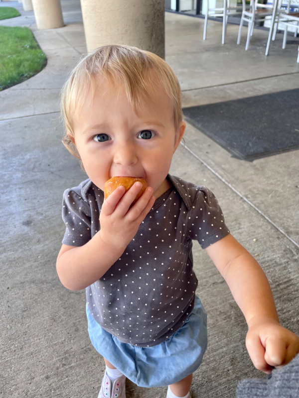 Toddler eating donut hole.