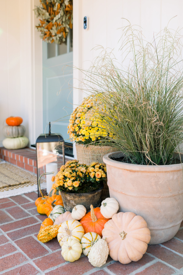 Front porch decorated with pumpkins and mums.