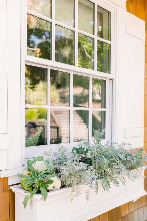Window boxes planted for fall with pumpkins and gourds.