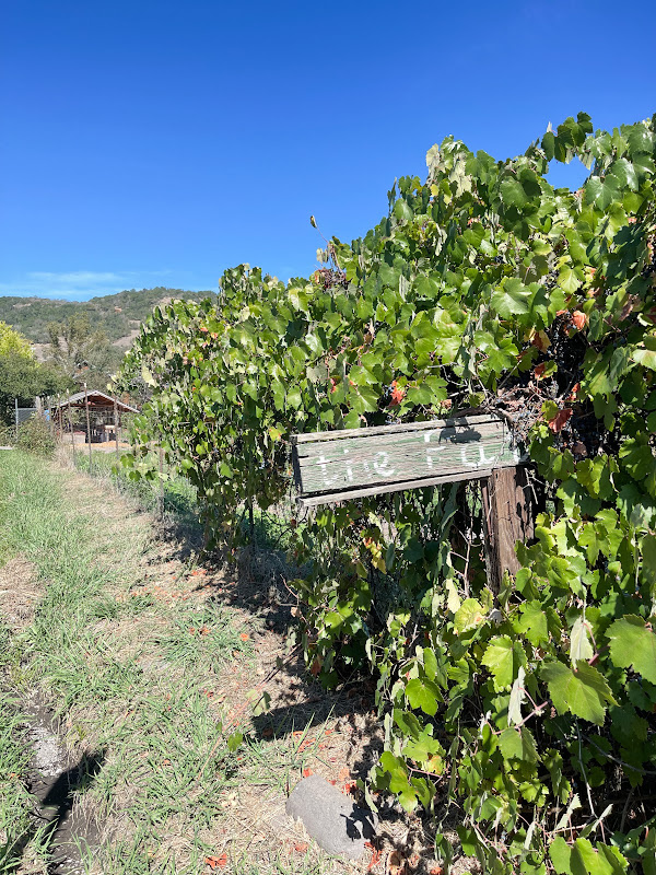 The Patch in Sonoma.