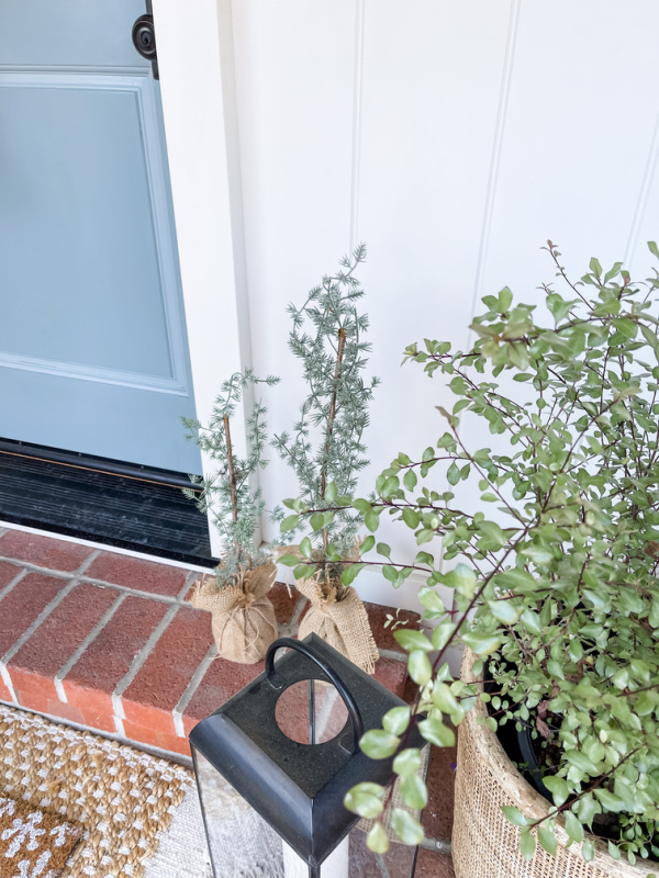 Little faux trees wrapped in burlap on brick step.