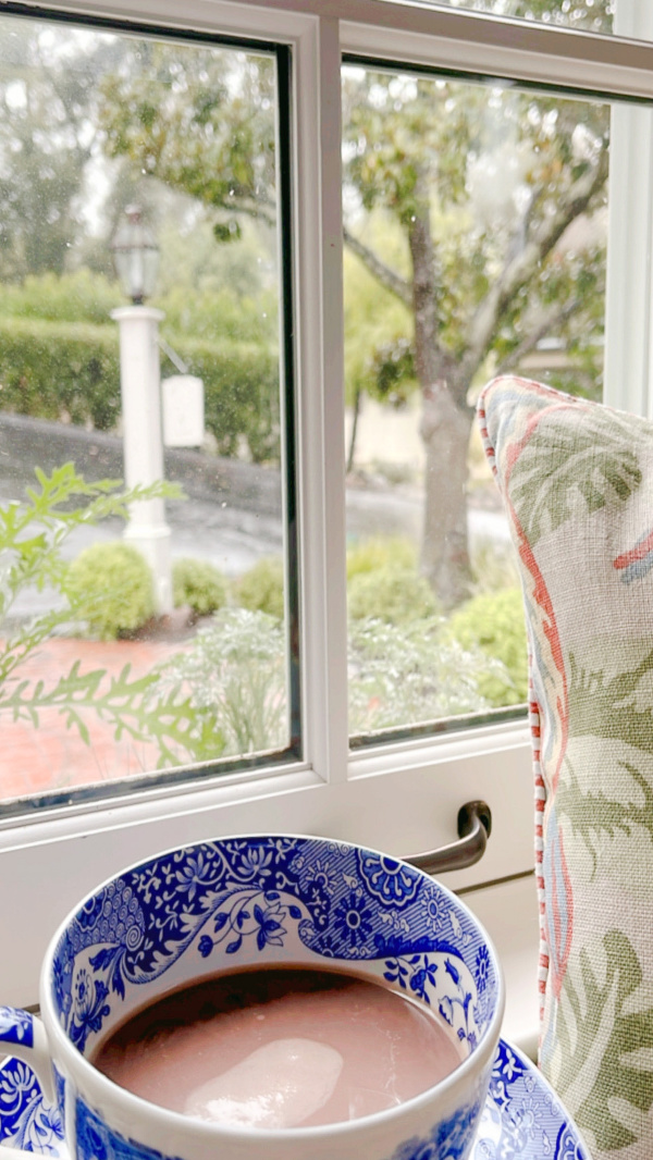 Blue and white cup and saucer filled with cocoa in window seat.