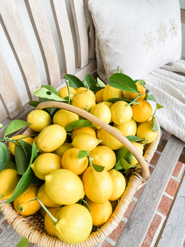 Basket of Meyer lemons sitting on bench.