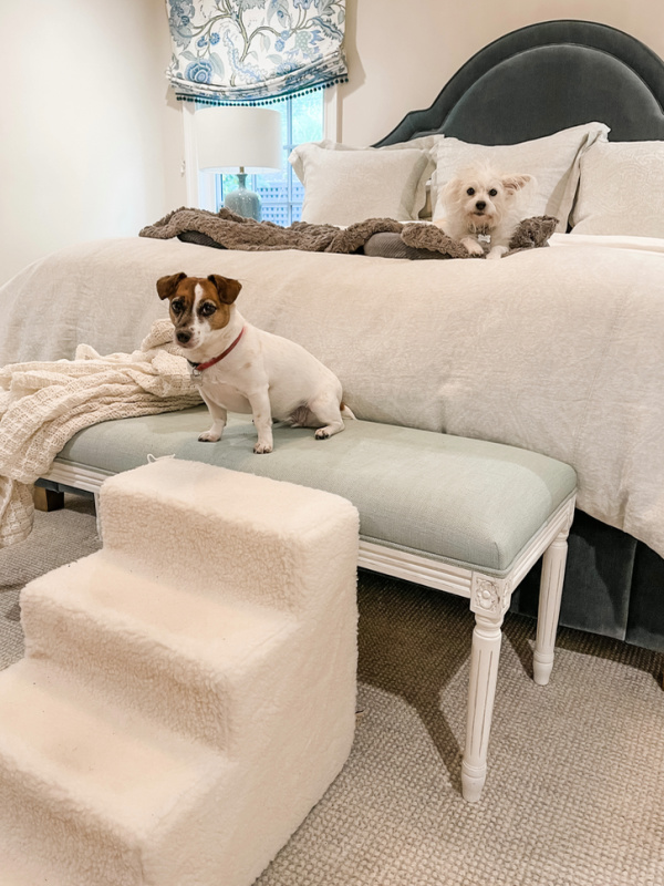 Two small dogs on bed next to dog stairs.
