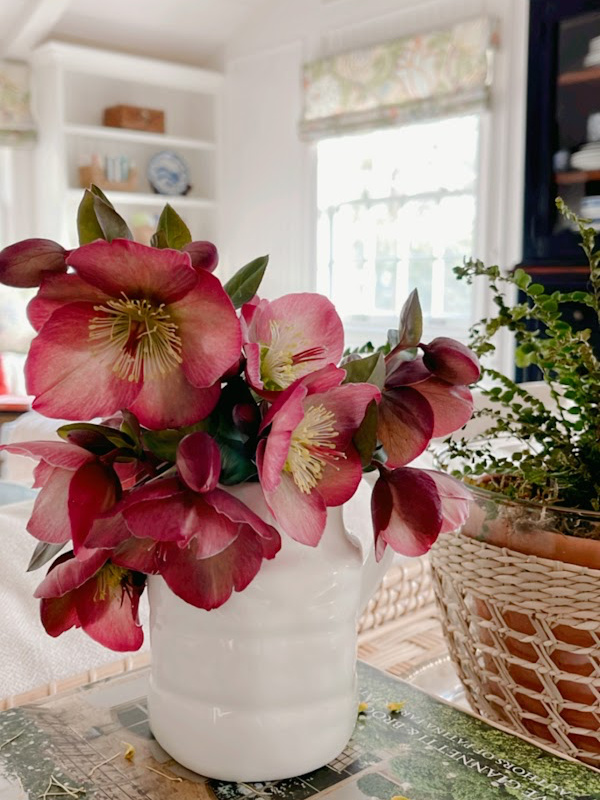 Hellebores in vase on console table.