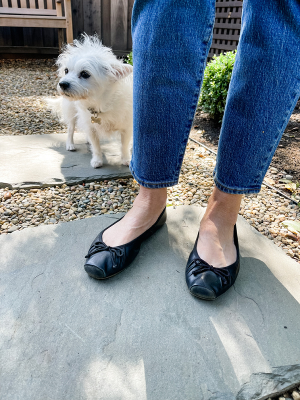 Black ballet flats & little white dog.