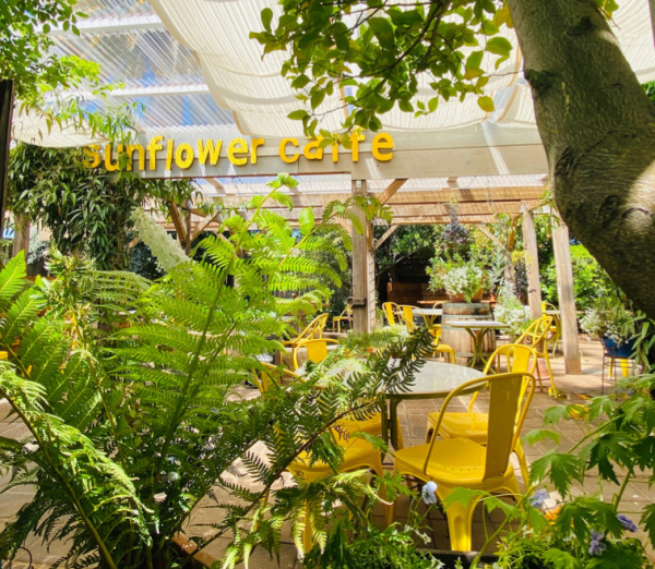 Sunflower Sonoma Patio.