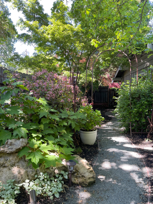 Garden path and arbor.