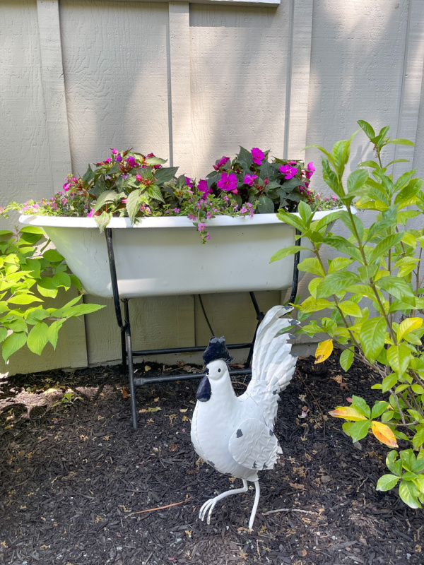 Tub of pretty flowers and chicken statue in pretty garden.