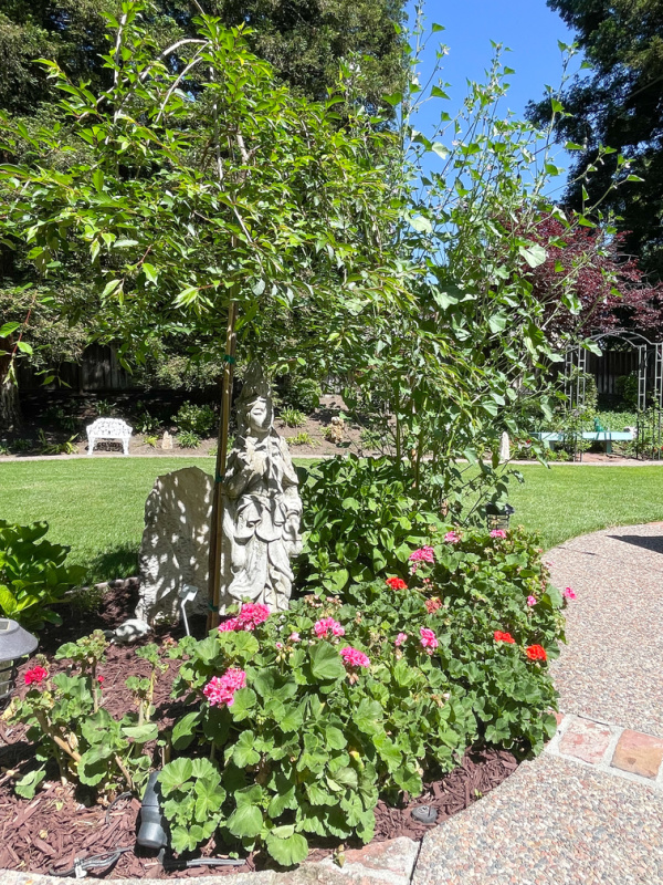 Statue in pretty garden.