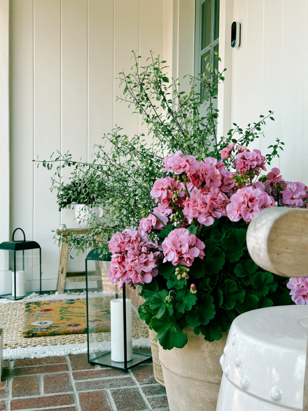 Pink geranium potted on front porch.