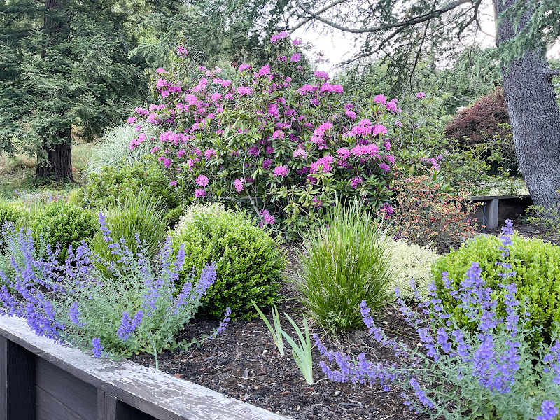 Picture of pretty garden bed.