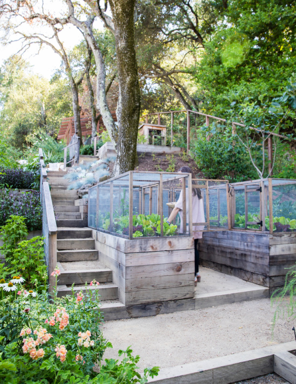 Natalie Coughlin garden.