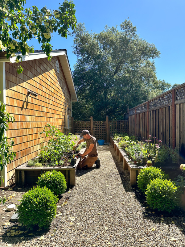 Photo of raised garden beds laid out for planting.