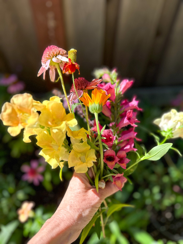 Flowers just picked from the garden.