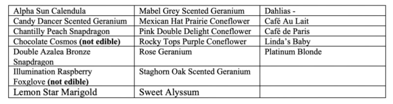 Table of flowers planted in garden.