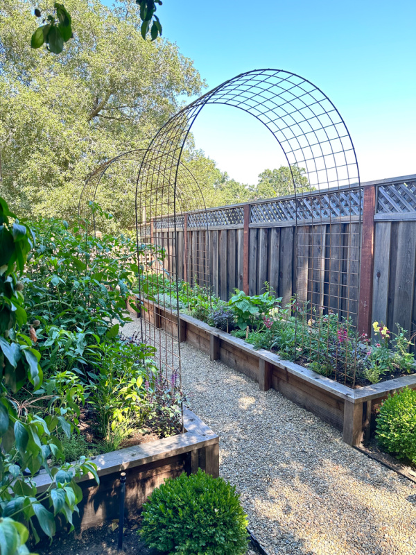 Arched trellis' just placed in raised garden beds.